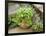 Herb Garden with Terracotta Pot with Sweet Basil, Curled Parsley and Creeping Thyme, Norfolk, UK-Gary Smith-Framed Photographic Print