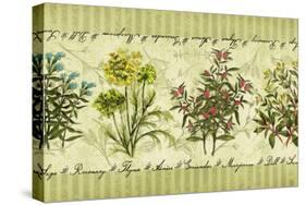 Herb Garden-Kate Ward Thacker-Stretched Canvas