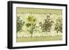 Herb Garden-Kate Ward Thacker-Framed Giclee Print