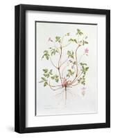 Herb Robert-Diana Everett-Framed Giclee Print