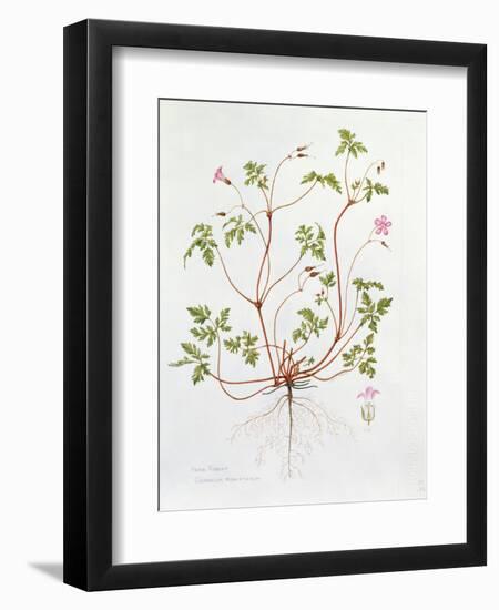 Herb Robert-Diana Everett-Framed Giclee Print