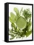 Herb Sauce with Fresh Herbs (Frankfurt Sauce)-Walter Cimbal-Framed Stretched Canvas