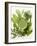 Herb Sauce with Fresh Herbs (Frankfurt Sauce)-Walter Cimbal-Framed Photographic Print