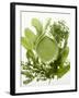 Herb Sauce with Fresh Herbs (Frankfurt Sauce)-Walter Cimbal-Framed Photographic Print