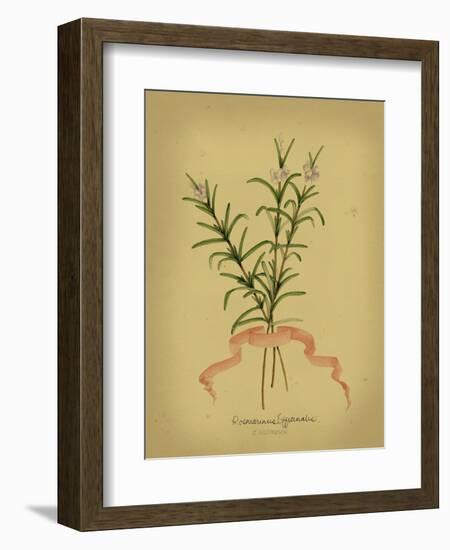 Herb Series III-null-Framed Art Print