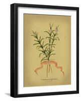 Herb Series III-null-Framed Art Print