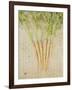 Herb Still Life III-Irena Orlov-Framed Art Print