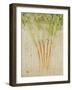 Herb Still Life III-Irena Orlov-Framed Art Print