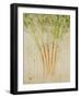 Herb Still Life III-Irena Orlov-Framed Art Print