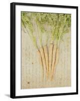 Herb Still Life III-Irena Orlov-Framed Art Print