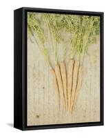 Herb Still Life III-Irena Orlov-Framed Stretched Canvas