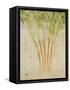 Herb Still Life III-Irena Orlov-Framed Stretched Canvas