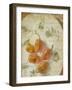 Herb Still Life VI-Irena Orlov-Framed Art Print