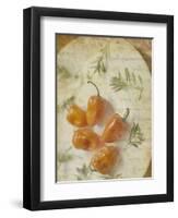 Herb Still Life VI-Irena Orlov-Framed Art Print