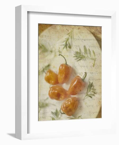 Herb Still Life VI-Irena Orlov-Framed Art Print