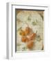 Herb Still Life VI-Irena Orlov-Framed Art Print