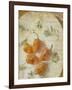 Herb Still Life VI-Irena Orlov-Framed Art Print