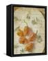 Herb Still Life VI-Irena Orlov-Framed Stretched Canvas