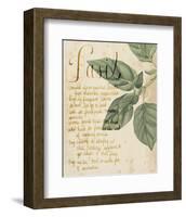 Herb Study I-Grace Popp-Framed Art Print