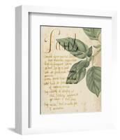 Herb Study I-Grace Popp-Framed Art Print