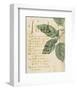 Herb Study I-Grace Popp-Framed Art Print