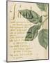 Herb Study I-Grace Popp-Mounted Art Print