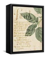 Herb Study I-Grace Popp-Framed Stretched Canvas