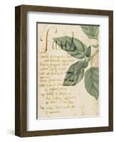 Herb Study I-Grace Popp-Framed Art Print