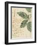 Herb Study I-Grace Popp-Framed Art Print