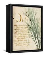 Herb Study II-Grace Popp-Framed Stretched Canvas