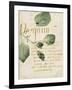 Herb Study III-Grace Popp-Framed Art Print