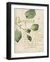 Herb Study III-Grace Popp-Framed Art Print