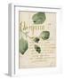 Herb Study III-Grace Popp-Framed Art Print