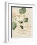 Herb Study III-Grace Popp-Framed Art Print