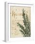 Herb Study IV-Grace Popp-Framed Art Print