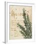 Herb Study IV-Grace Popp-Framed Art Print