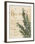 Herb Study IV-Grace Popp-Framed Art Print