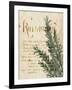 Herb Study IV-Grace Popp-Framed Art Print