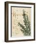 Herb Study IV-Grace Popp-Framed Art Print