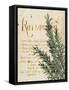 Herb Study IV-Grace Popp-Framed Stretched Canvas