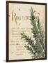 Herb Study IV-Grace Popp-Framed Art Print