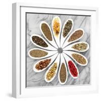 Herb Tea Selection In White Porcelain Dishes Over Marble Background-marilyna-Framed Art Print