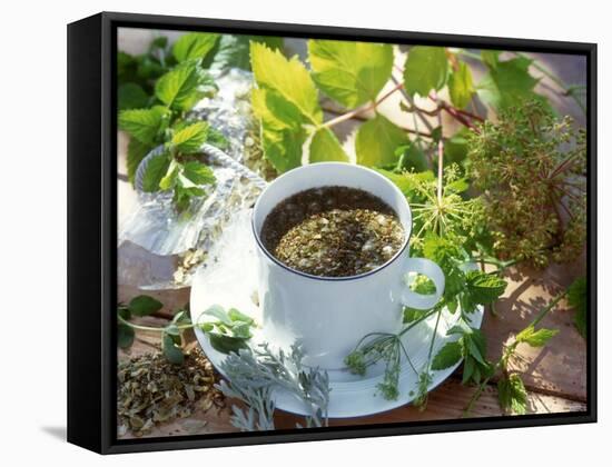 Herb Tea with Various Fresh Herbs-Roland Krieg-Framed Stretched Canvas