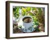 Herb Tea with Various Fresh Herbs-Roland Krieg-Framed Photographic Print