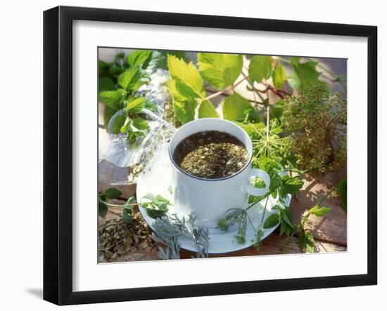 Herb Tea with Various Fresh Herbs-Roland Krieg-Framed Photographic Print