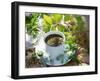 Herb Tea with Various Fresh Herbs-Roland Krieg-Framed Photographic Print