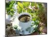 Herb Tea with Various Fresh Herbs-Roland Krieg-Mounted Photographic Print