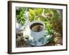 Herb Tea with Various Fresh Herbs-Roland Krieg-Framed Photographic Print