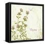 Herb Thyme on Floral Background-Milovelen-Framed Stretched Canvas