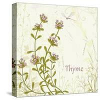 Herb Thyme on Floral Background-Milovelen-Stretched Canvas